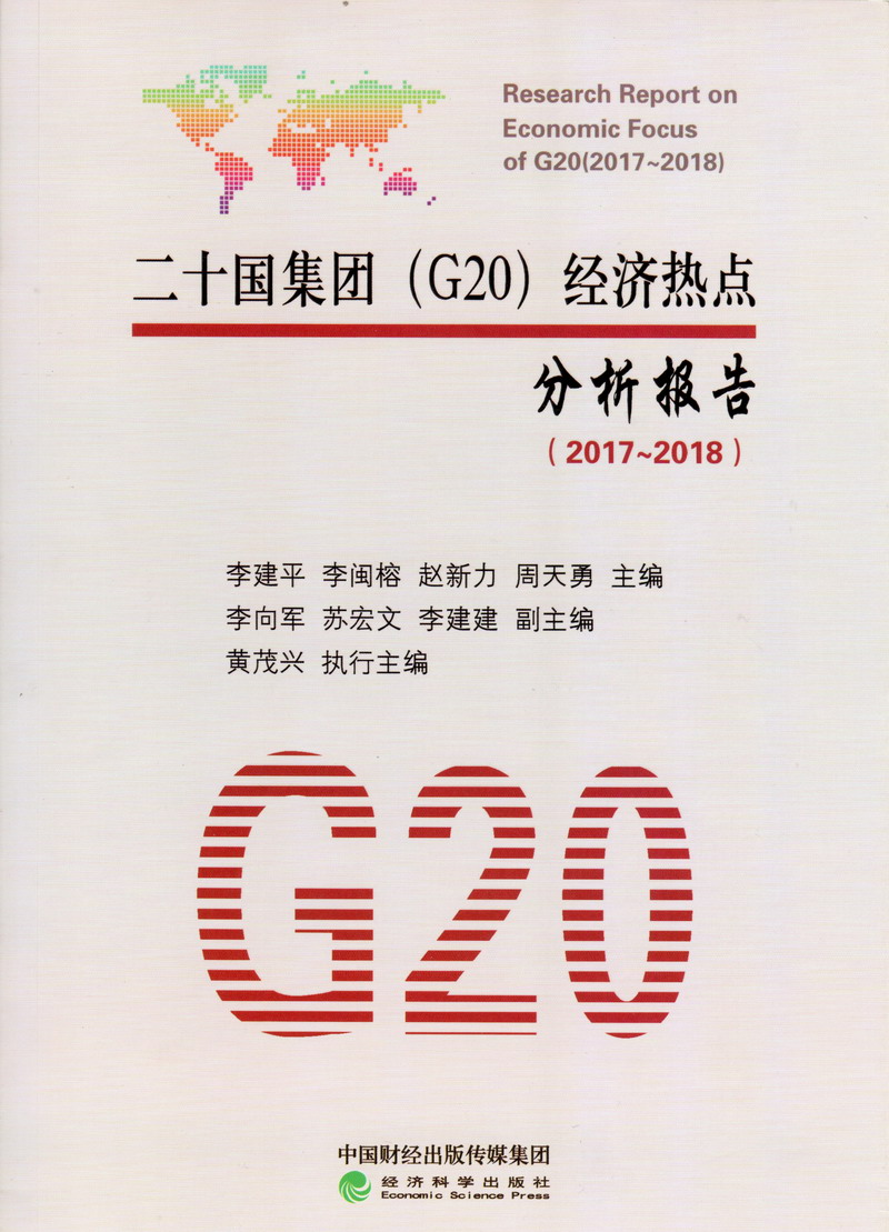 小骚逼操鸡巴网址二十国集团（G20）经济热点分析报告（2017-2018）